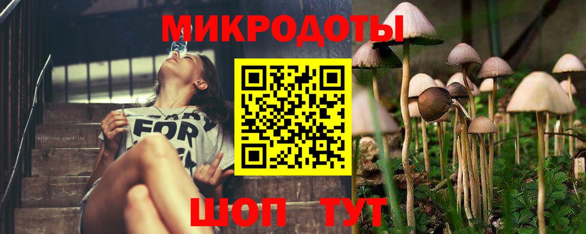 Железноводск  купить  сайты  Вход с VPN  Галлюциногенные грибы GOLDEN TEACHER  Псилоцибиновые грибы Psilocybe 